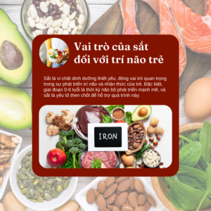 Vai trò của sắt