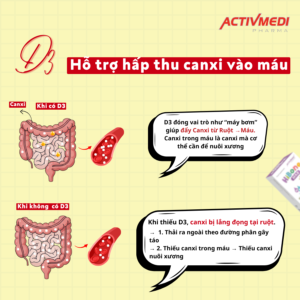 D3 giúp tăng hấp thu canxi