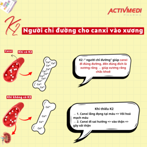 K2 GIÚP CHỈ ĐƯỜNG ĐƯA Canxi ĐẾN ĐÚNG ĐÍCH